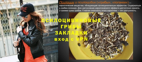 индика Арсеньев