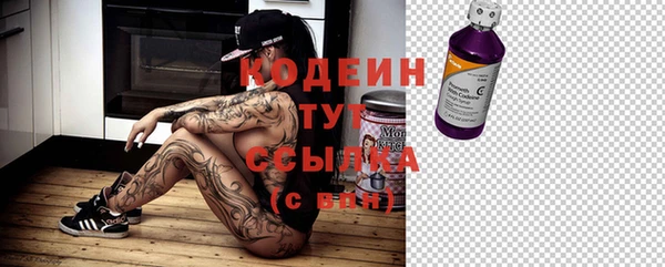 индика Арсеньев