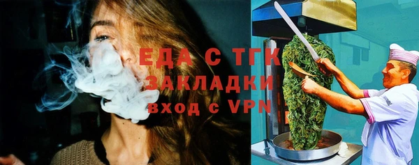 индика Арсеньев