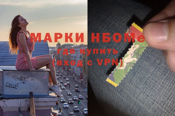 гидра Аркадак
