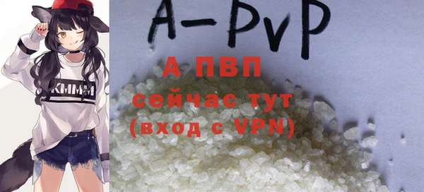 индика Арсеньев