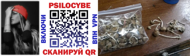 Псилоцибиновые грибы Psilocybine cubensis  наркота  Никольск 